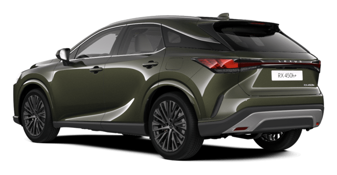 RX - Executive - SUV