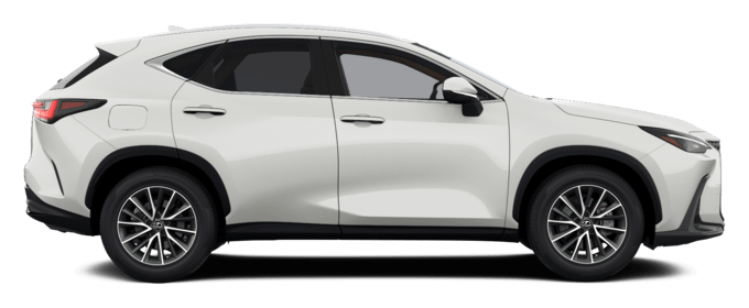 NX - Executive - SUV