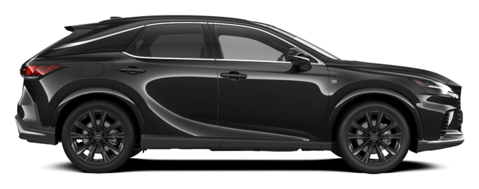 RX - Sport Design - Športni terenec