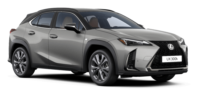 UX - F SPORT DESIGN - Karavan 5 vrat