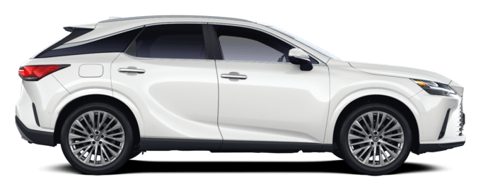 RX - Luxury - Športni terenec