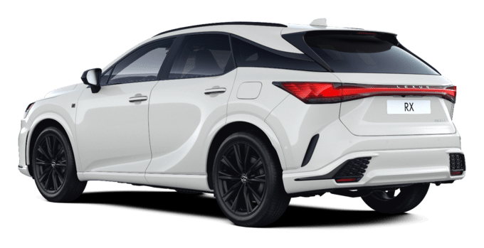 RX - Sport - Športni terenec