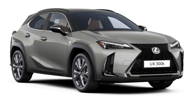 UX - F SPORT DESIGN - Karavan 5 vrat