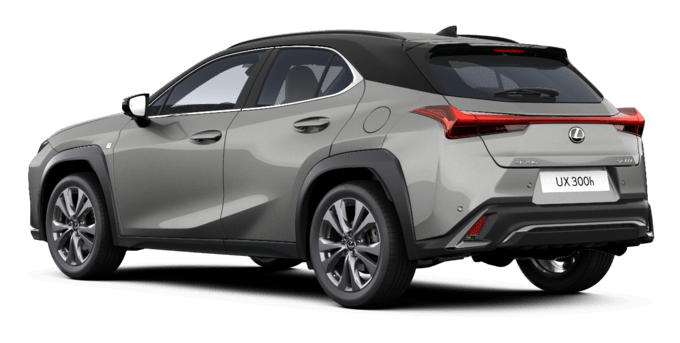 UX - F SPORT DESIGN - Karavan 5 vrat