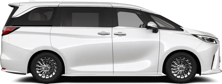 LM - VIP - 5-дверный минивэн