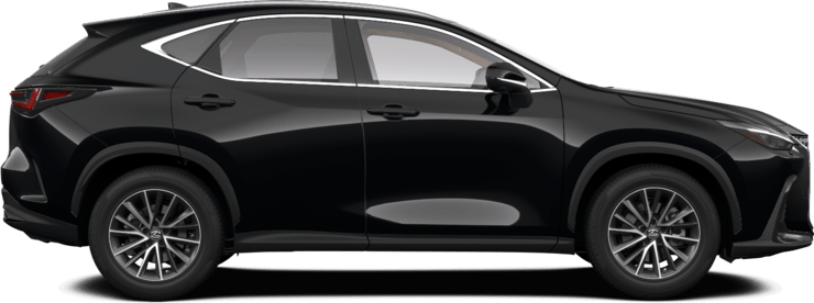 NX - Executive Line - SUV