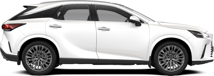 RX - Hybrid Luxury - 5 კარიანი ქროსოვერი